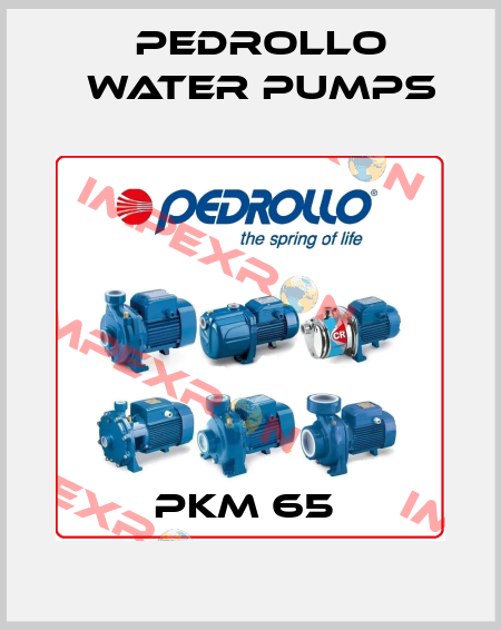 PKm 65  Pedrollo Water Pumps