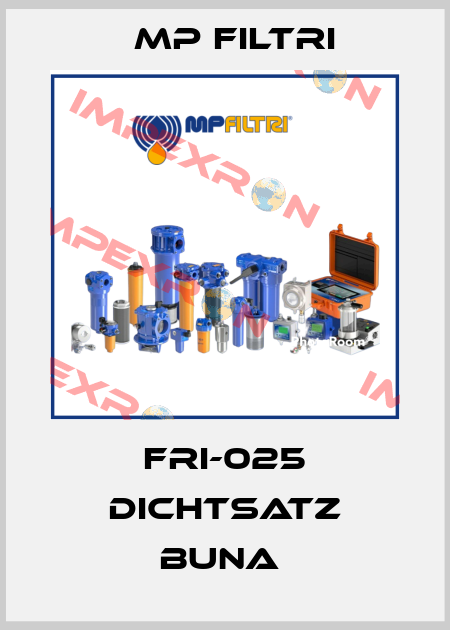 FRI-025 DICHTSATZ BUNA  MP Filtri