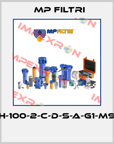 MPH-100-2-C-D-S-A-G1-M90-T  MP Filtri