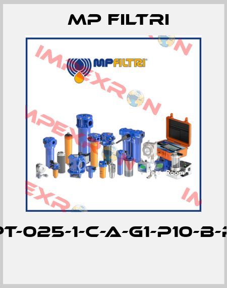 MPT-025-1-C-A-G1-P10-B-P01  MP Filtri