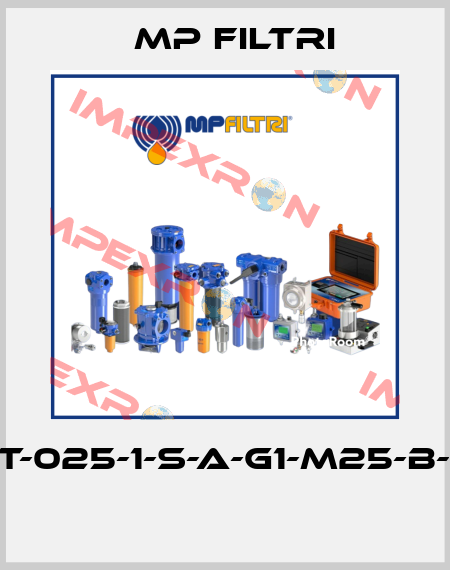 MPT-025-1-S-A-G1-M25-B-P01  MP Filtri