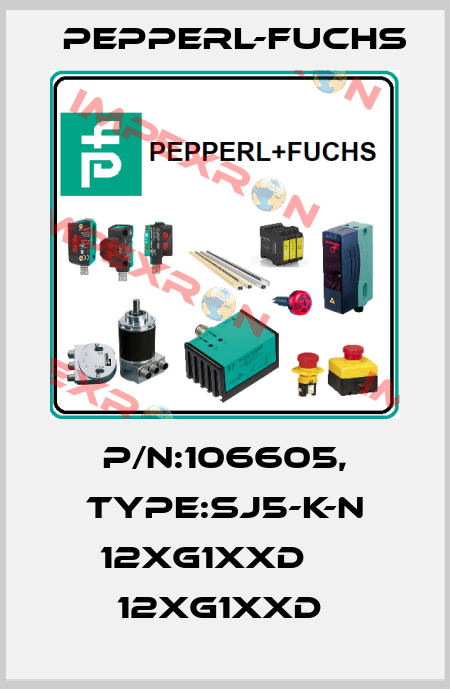 P/N:106605, Type:SJ5-K-N 12XG1XXD     12xG1xxD  Pepperl-Fuchs