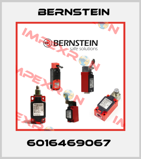 6016469067  Bernstein