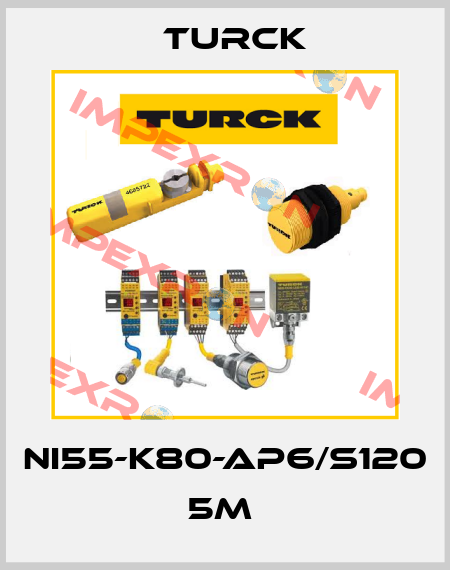 NI55-K80-AP6/S120 5M  Turck
