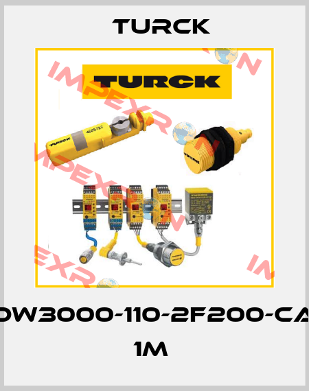 DW3000-110-2F200-CA 1M  Turck