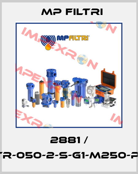 2881 / STR-050-2-S-G1-M250-P01 MP Filtri