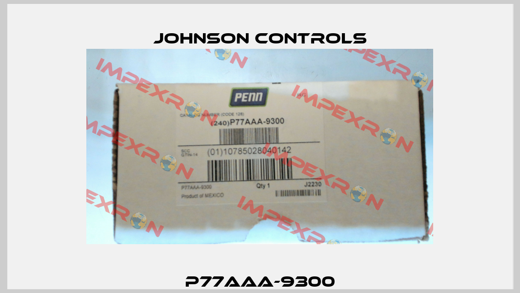 P77AAA-9300 Johnson Controls
