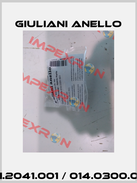 511.2041.001 / 014.0300.001 Giuliani Anello