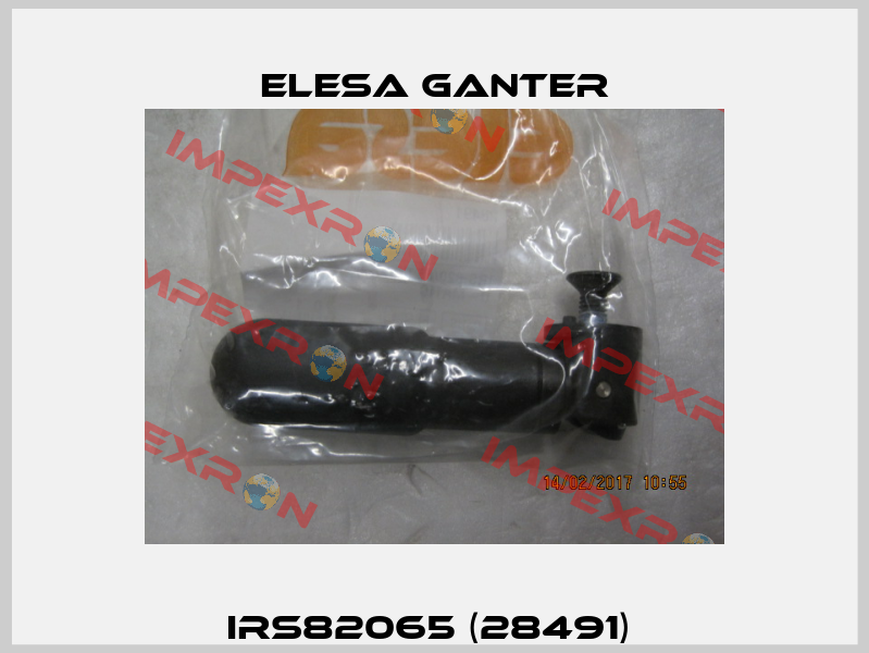IRS82065 (28491)  Elesa Ganter
