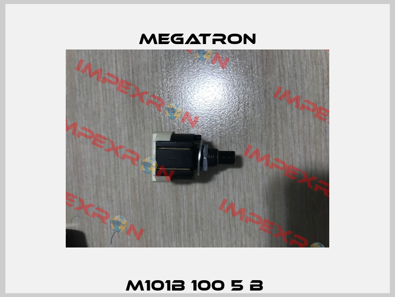 M101B 100 5 B  Megatron