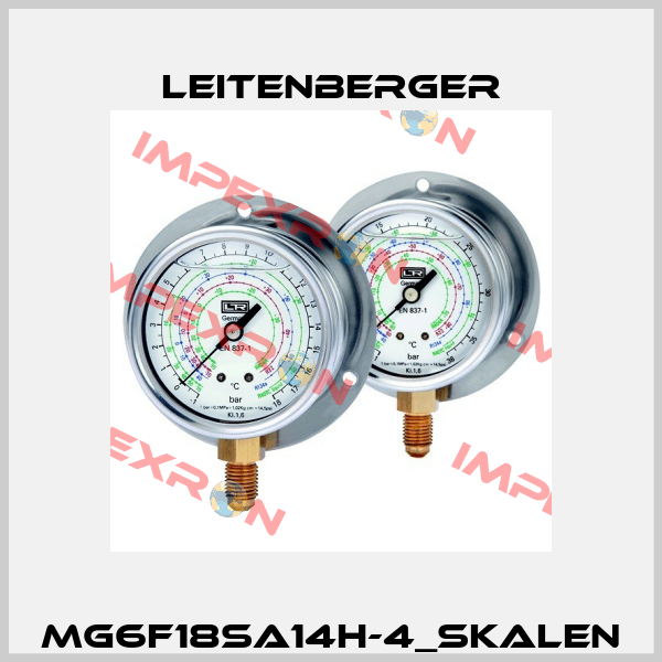 MG6F18SA14H-4_Skalen Leitenberger