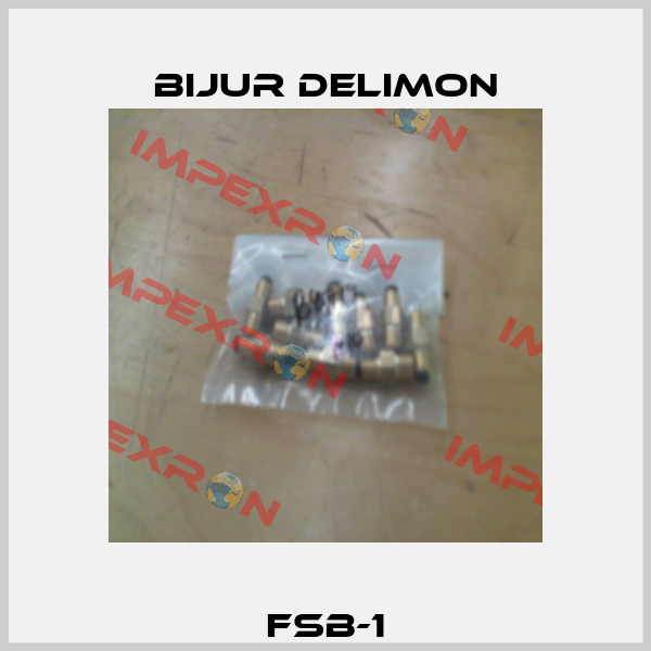 FSB-1 Bijur Delimon