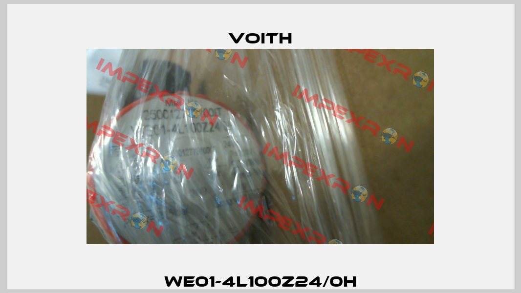 WE01-4L100Z24/0H Voith