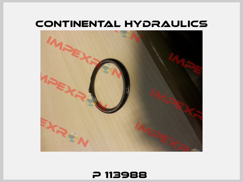 P 113988  Continental Hydraulics