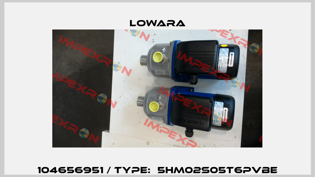 104656951 / Type:  5HM02S05T6PVBE Lowara